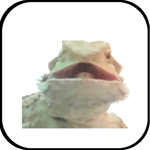 Lizard icon